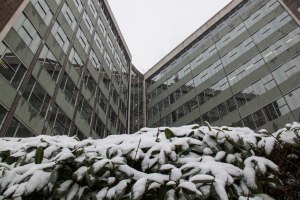 The School welcomes the snow