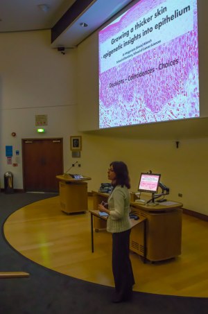 My career in research 