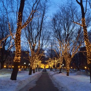 Boston snow and lights