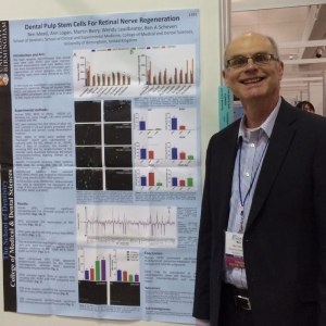 Ben Scheven presenting